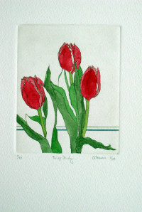 Tulip Study