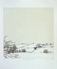 Winterscape II